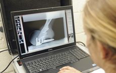 new-xray.jpg