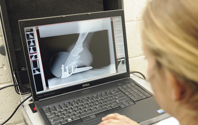 new-xray.jpg
