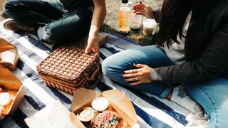 couple sitting on blanket with picnic basket