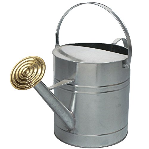 Crazygadget® Garden Plant Flower Colour Galvanised Metal Steel Watering Can 9l 9 Litre / 2 Gallon With Brass Rose (galvanised)