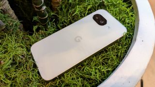 The Porcelain Google Pixel 9a laying back-up on a mossy surface next to a plant.