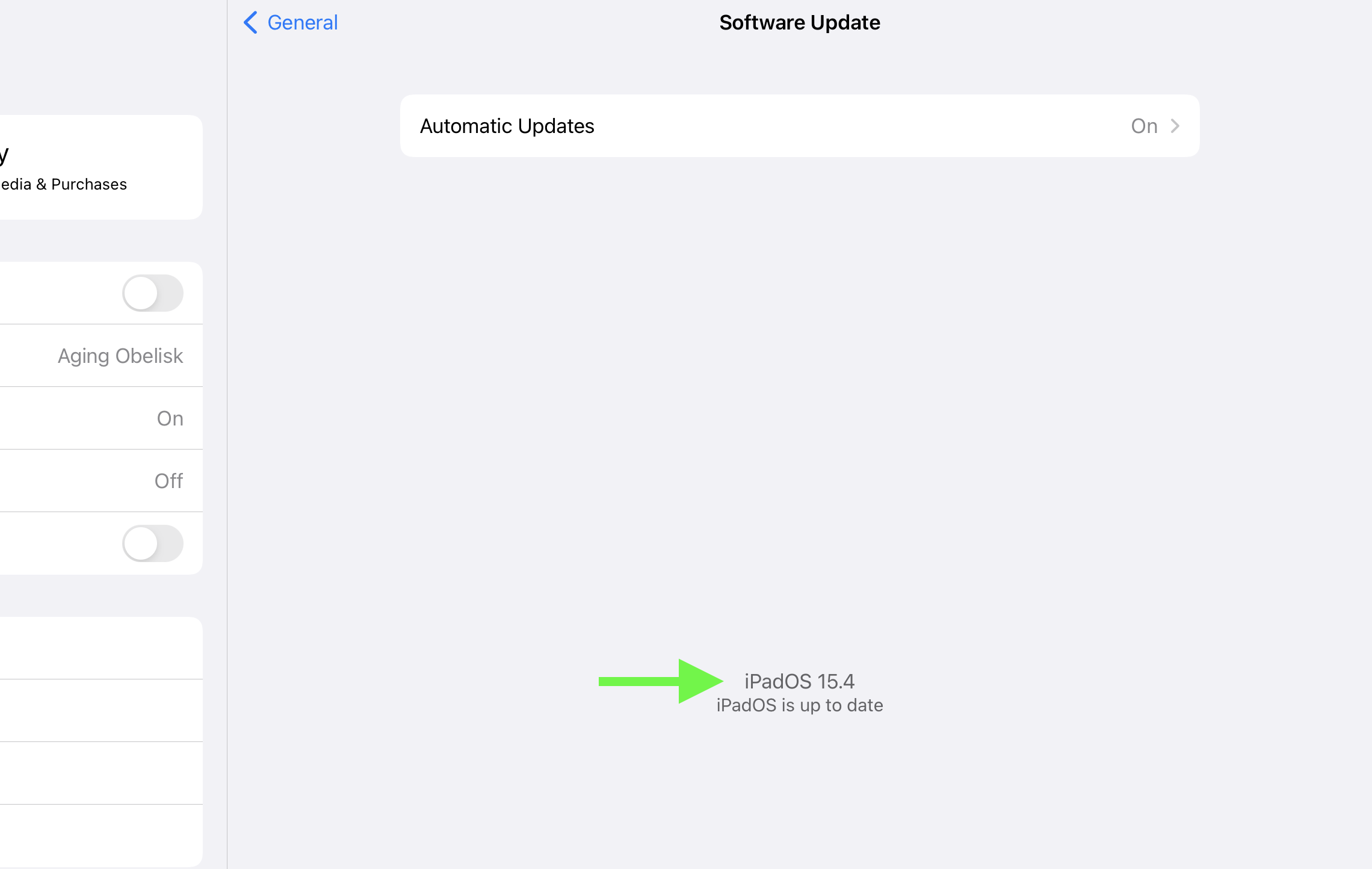 An iPad Preferences screen with the version number highlighted