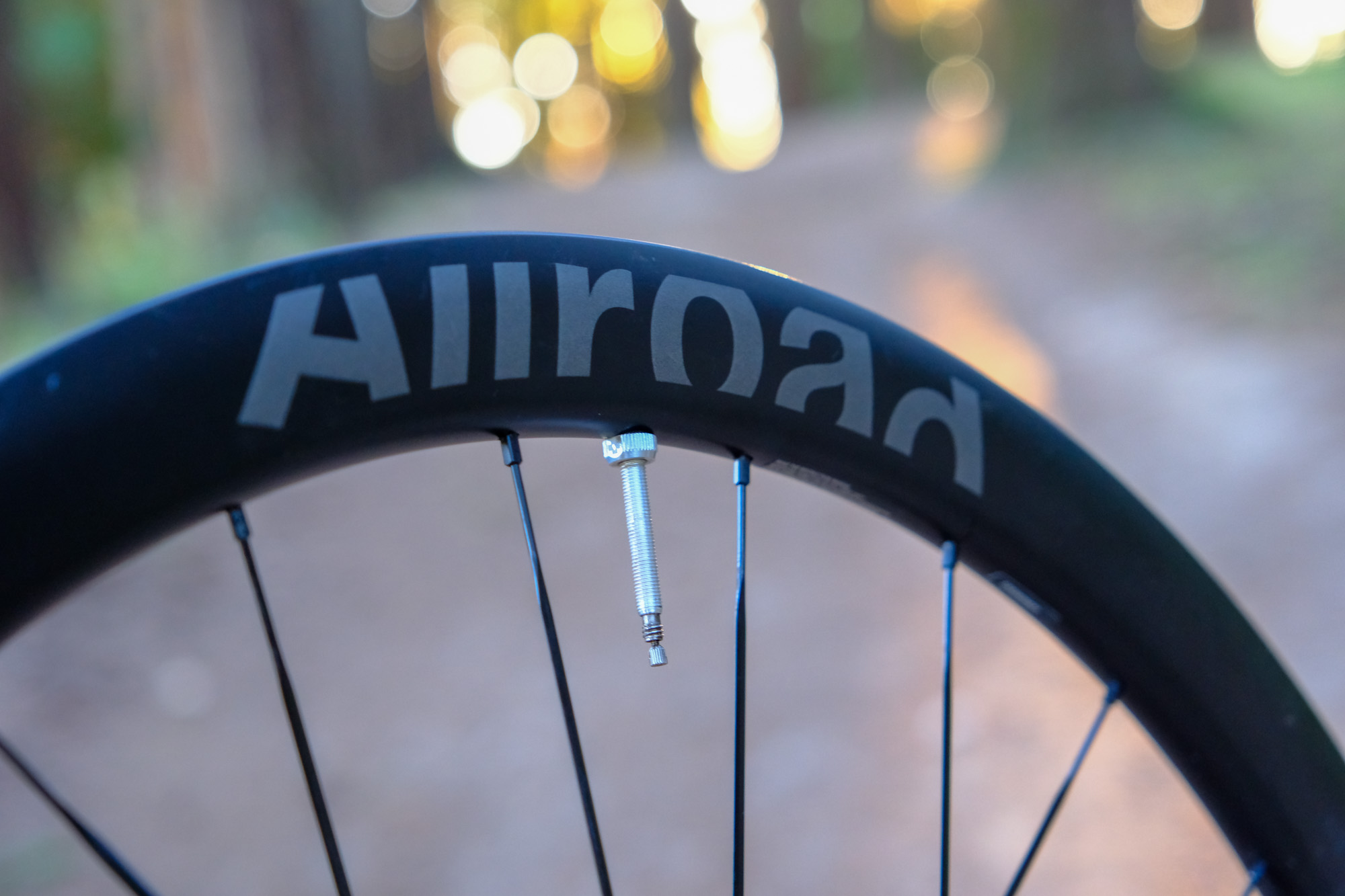 Mavic AllRoad SL Carbon wheelset