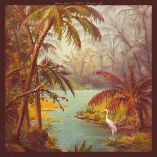 Duane Betts 'Wild & Precious Life' album artwork