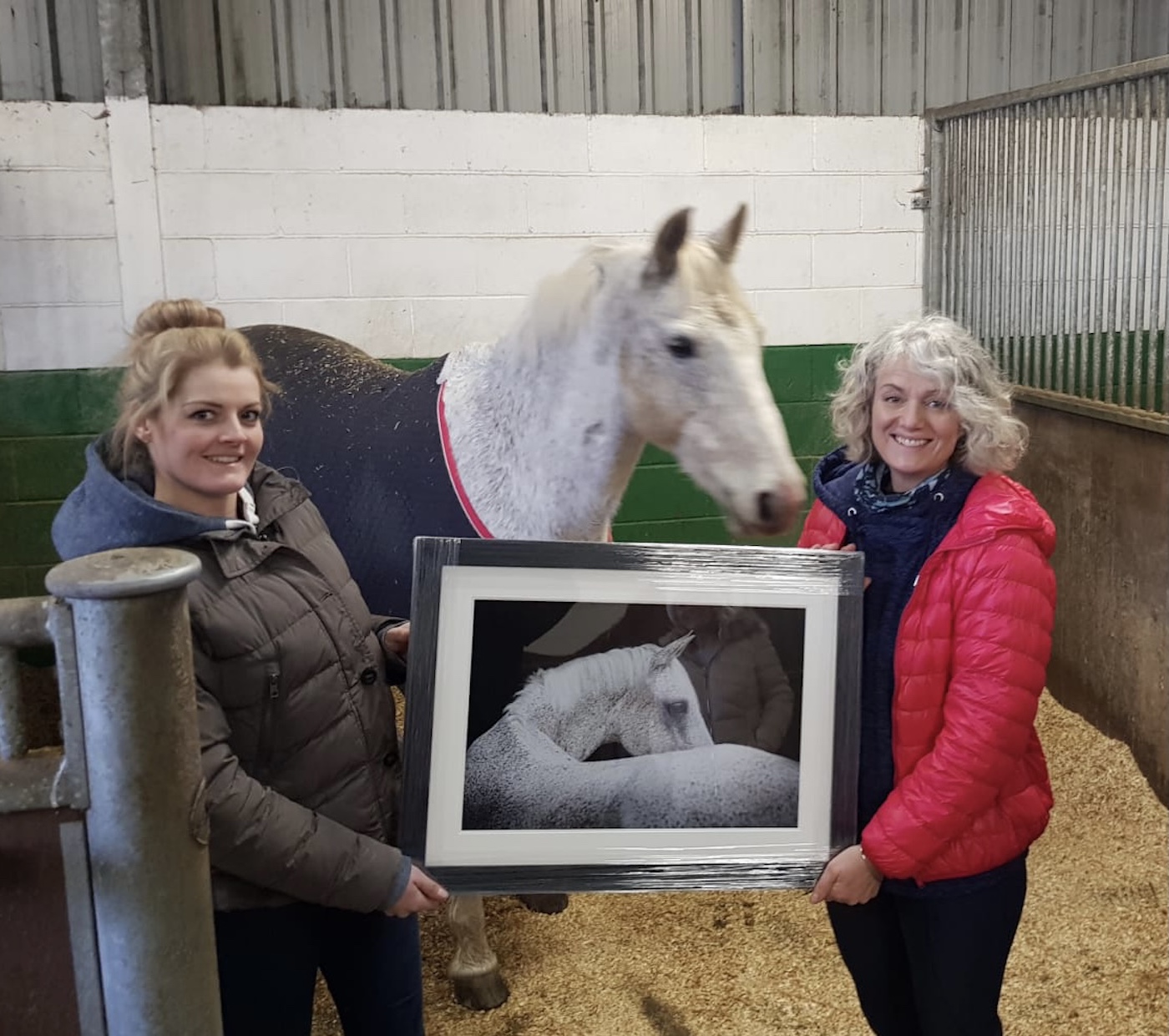 equestrian photographer Helen Speigl Xperience Group Awards
