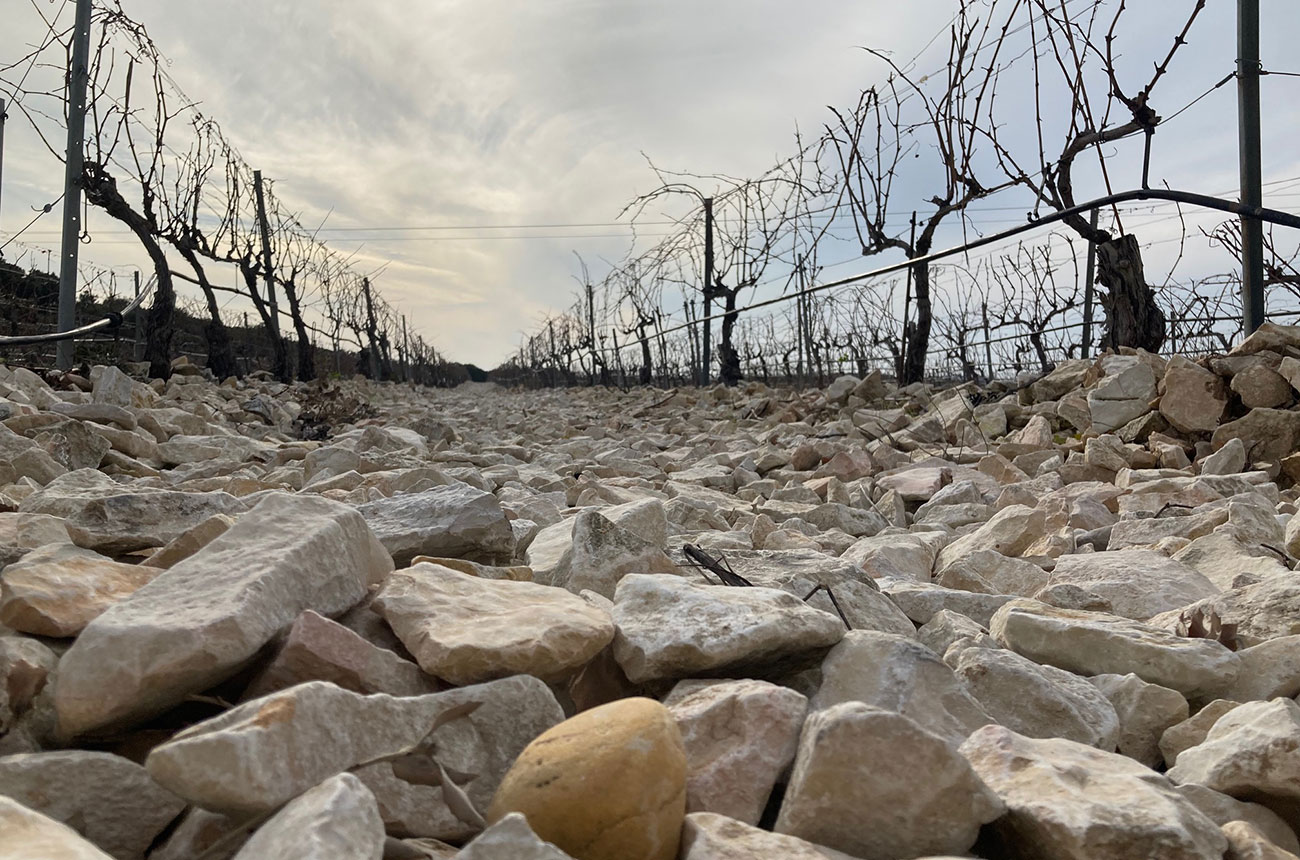 Ch&amp;acirc;teau Mont-Redon
