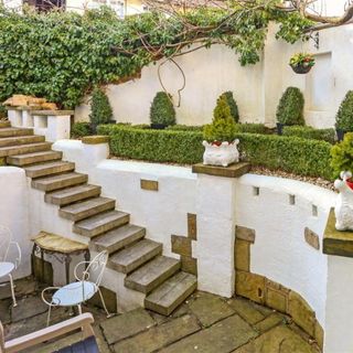 courtyard garden with white walls and plants