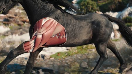 The Witcher 4 Kelpie