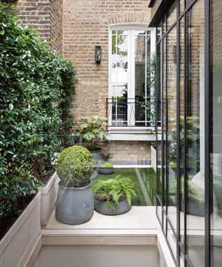 A modern house with a small courtyard garden with potted shrubs on.