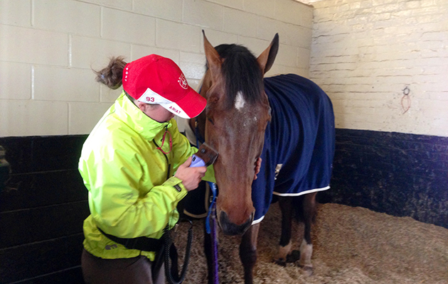 Hilly having his pre-Belton clip