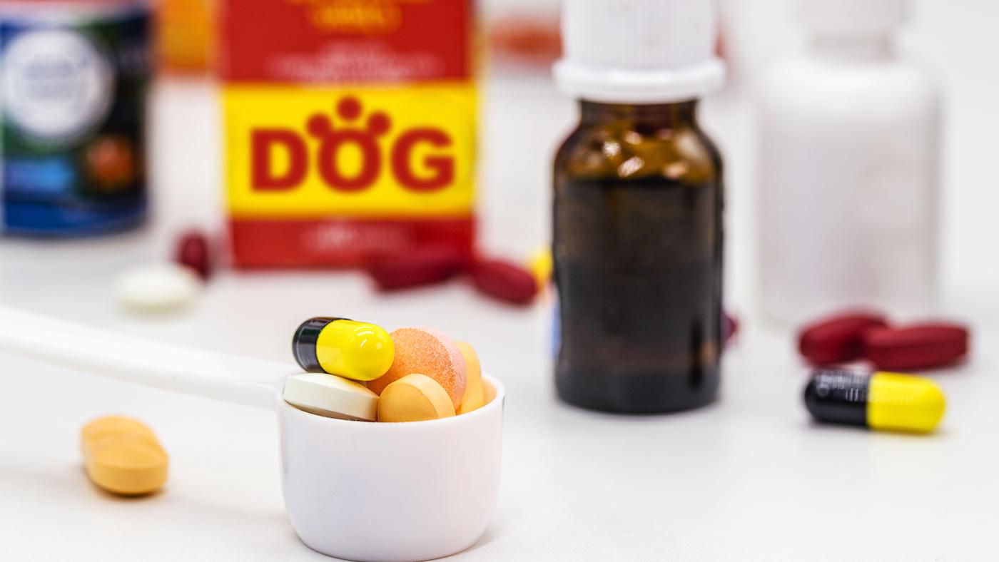 Best vitamins for dogs