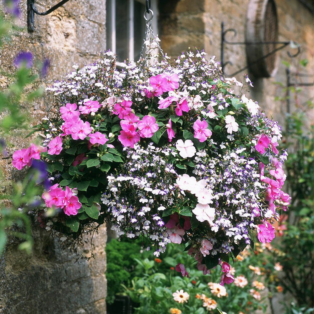 hanging flower pot