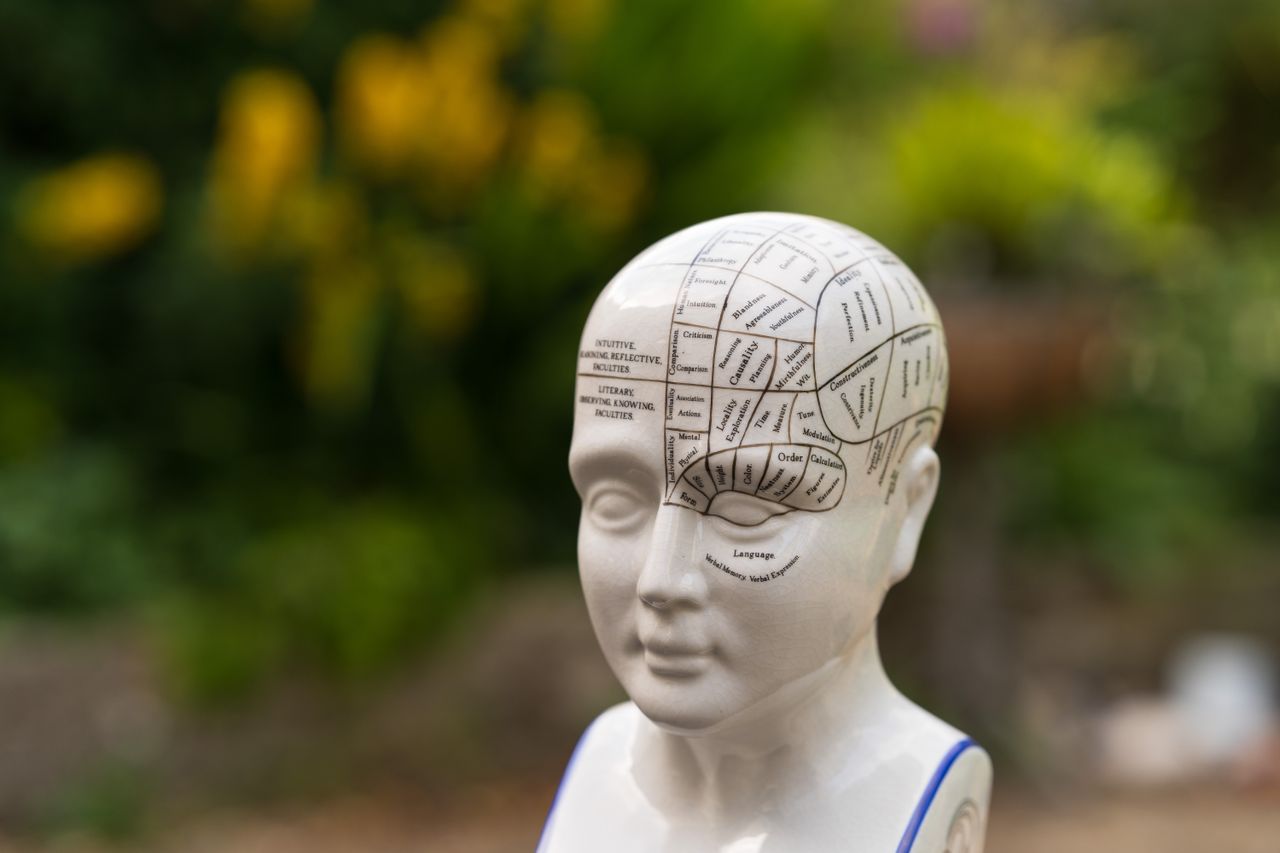 Meike 85mm f/1.4 Mix II sample image
