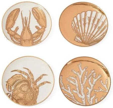 Seashell art coasters