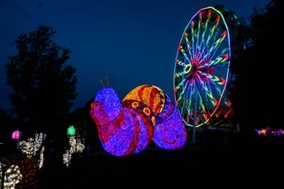 A caterpillar made from Christmas lights in front of a light up Ferris wheel