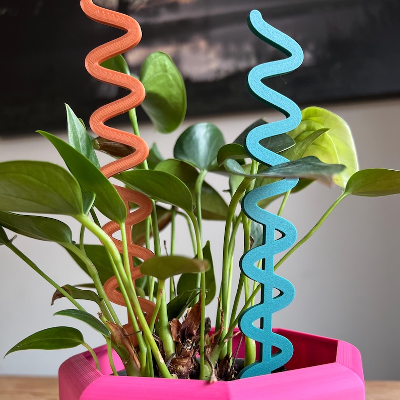 Rich Tones Wavy Plant Stake - Colourful Trellis in the Shape of a Wiggle (2-Pack)