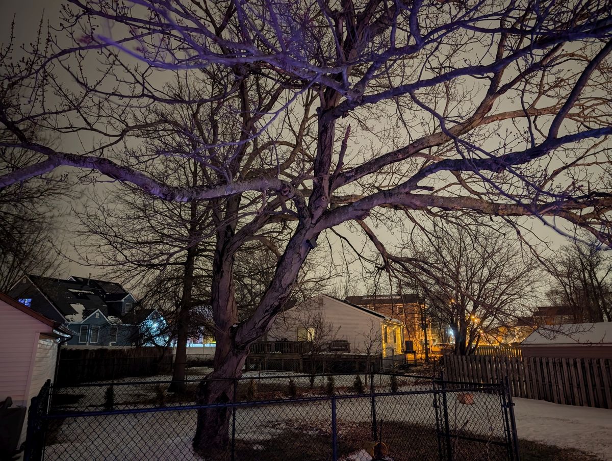 Google Pixel 9 Pro XL low light sample
