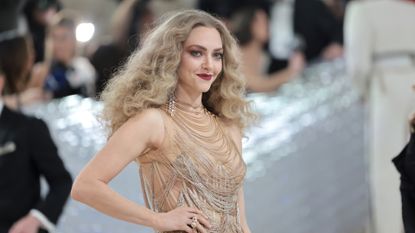 Amanda Seyfried attends The 2023 Met Gala Celebrating "Karl Lagerfeld: A Line Of Beauty" at The Metropolitan Museum of Art on May 01, 2023 in New York City. (Photo by Jamie McCarthy/Getty Images)