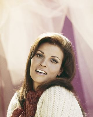 70s hair - raquel welch