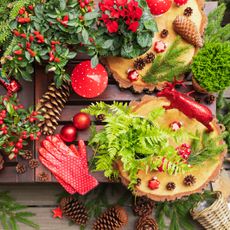 Christmas gardening DIY scene