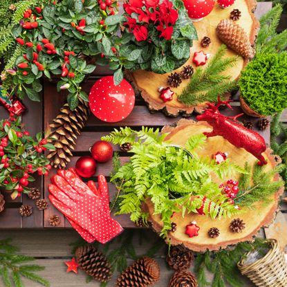 Christmas gardening DIY scene