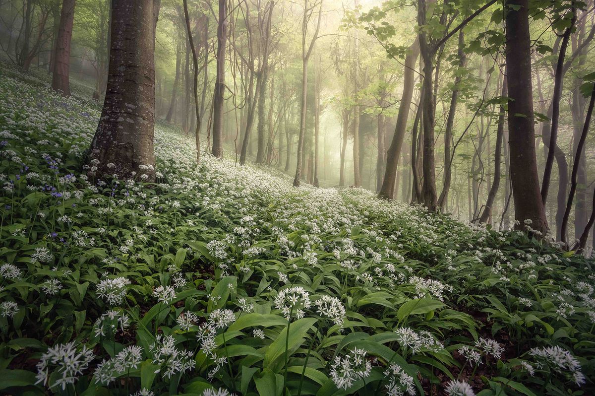 Landscape Photographer of the Year winner announced!