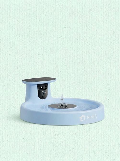 Solar Bird Bath With AI Camera and Fountain