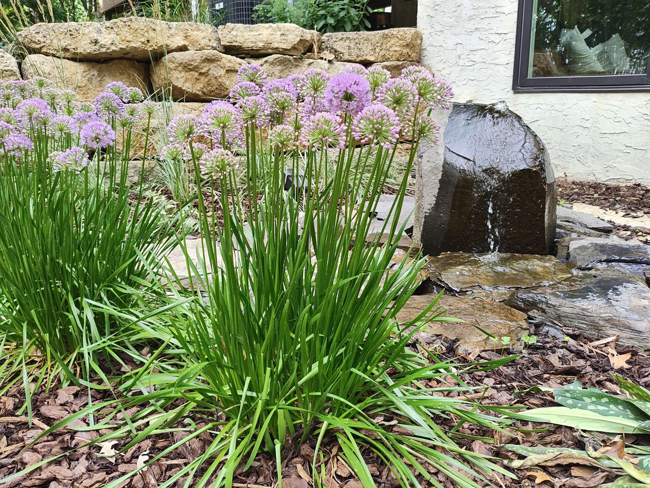 Motorola Razr Plus 2023 camera samples