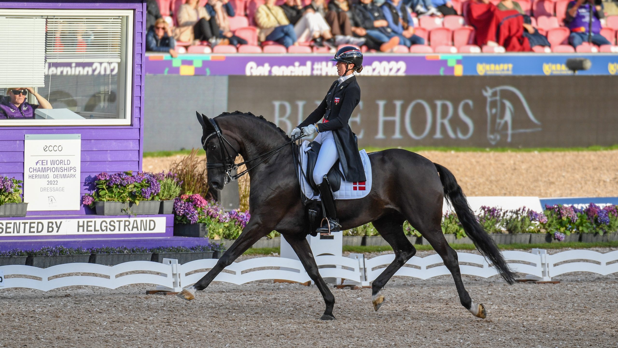 Carina Cass&amp;oslash;e Kr&amp;uuml;th and Heiline&amp;rsquo;s Danciera at the World Dressage Championships 2022