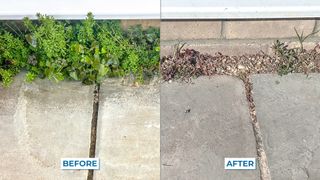 Homemade Weed Killer