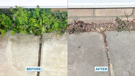 Homemade Weed Killer