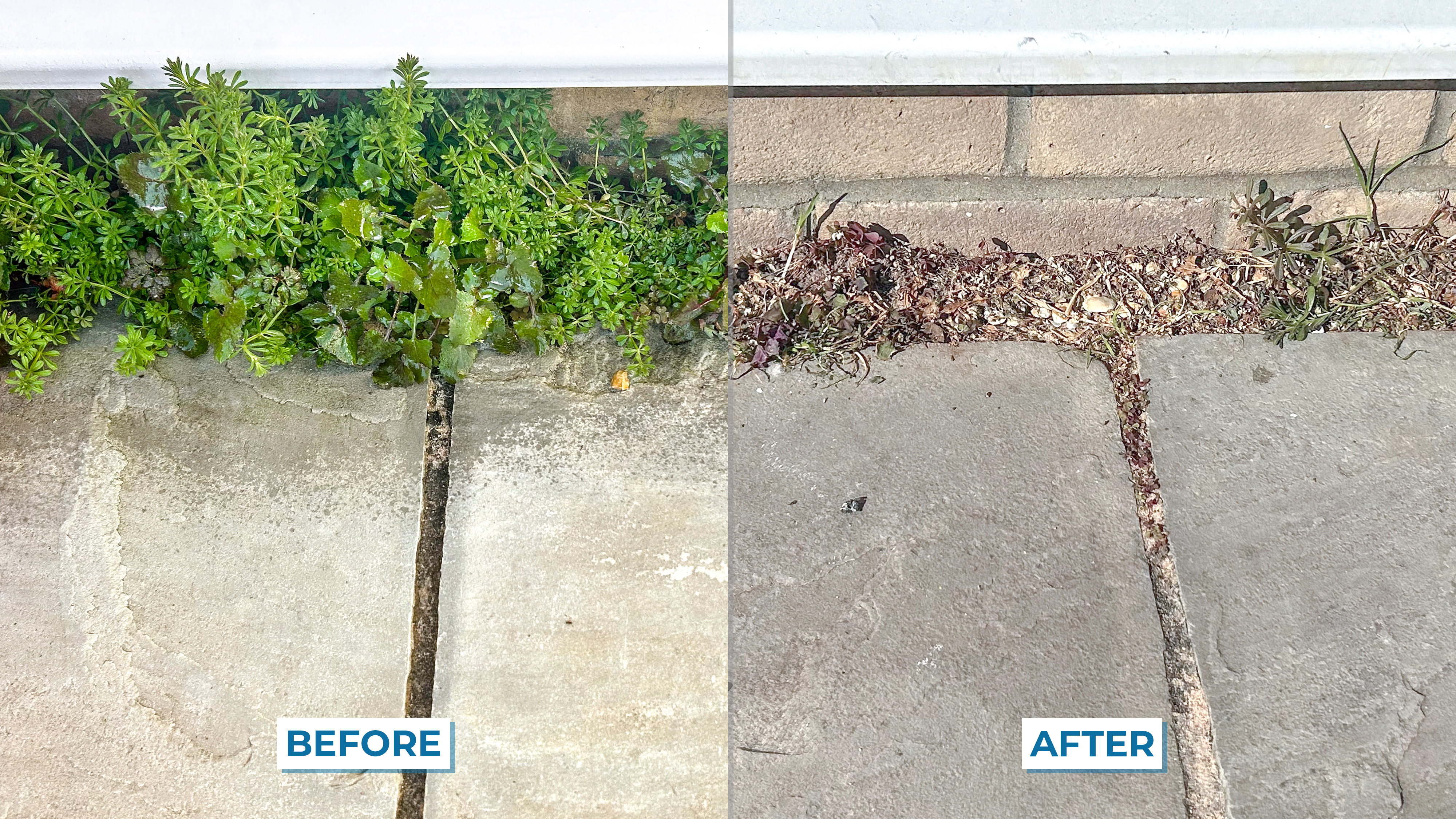 Homemade Weed Killer