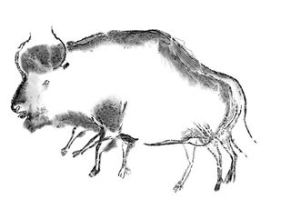 bison hybrid cave paintings