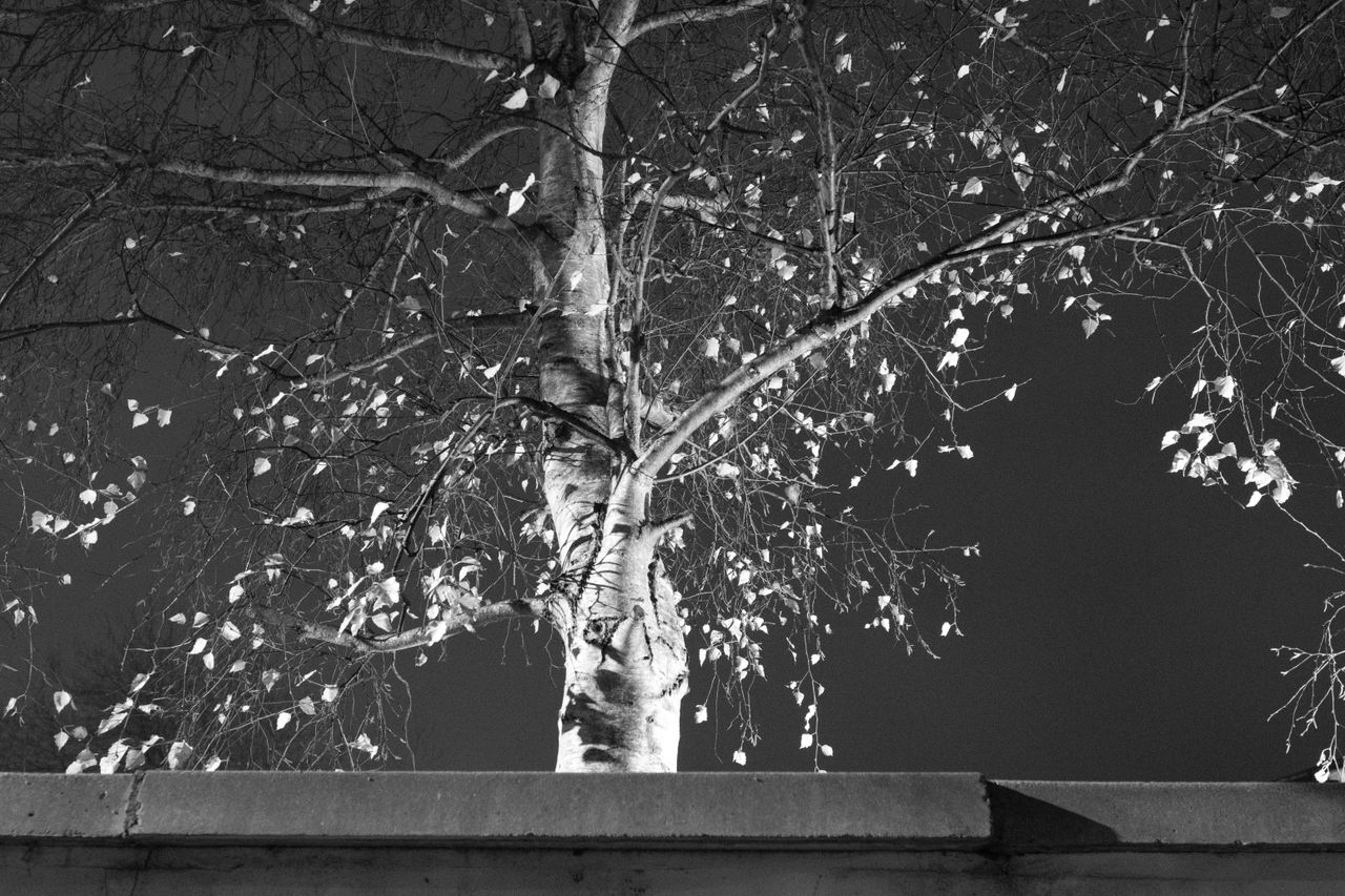 Pentax K-3 Mark III Monochrome