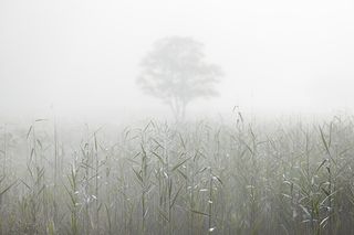 ©Scottish Landscape Photographer of the Year/Ian Biggs