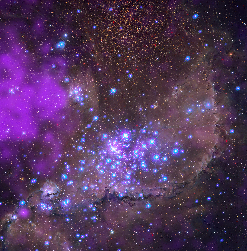 This composite shows NGC 346, a young cluster of stars that includes "newborn" stars
