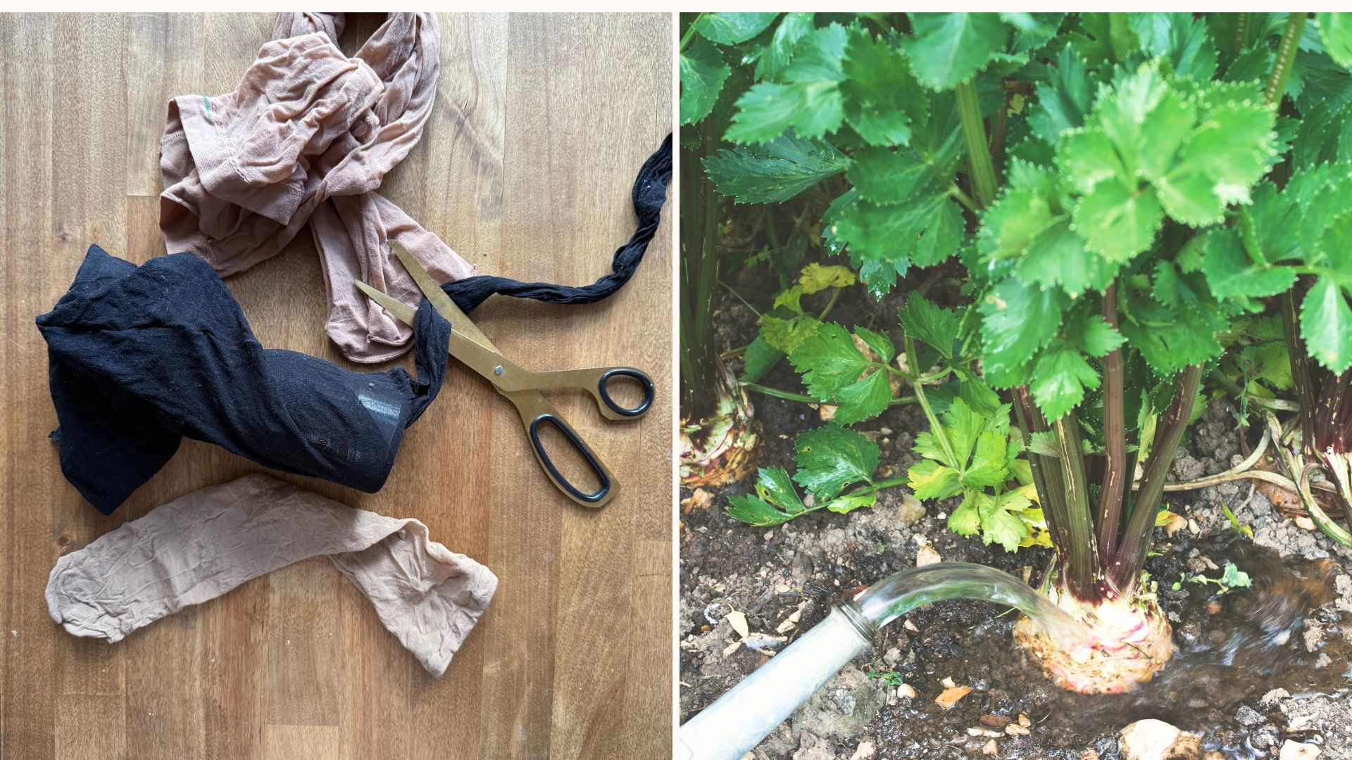 split image showing everything you need to make a downpipe and tights watering method