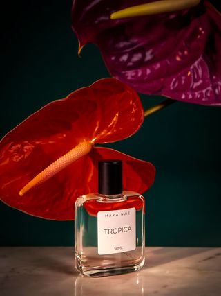 Tropica perfume by Maya Njie alongside purple and red flowers