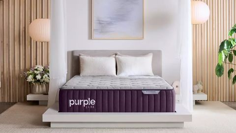 Purple Rejuvenate Mattress review image shows the bed in a luxury bedroom decorated with beautiful flowers and plants