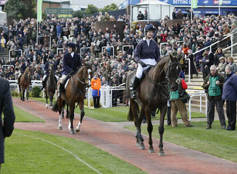 Denman-parades-Cheltenham1
