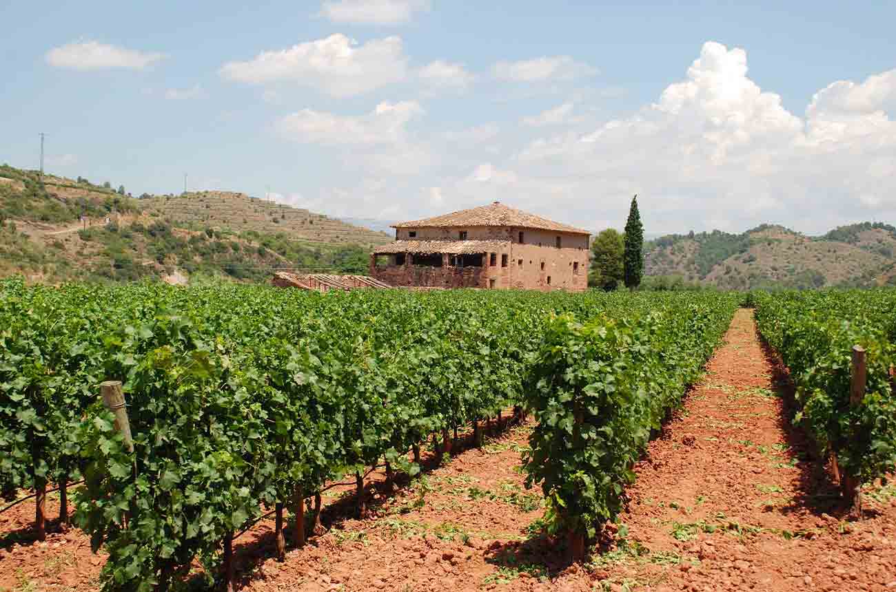 Farmhouse and vineyards at Casa Gran del Siurana winery in Priorat, Spain