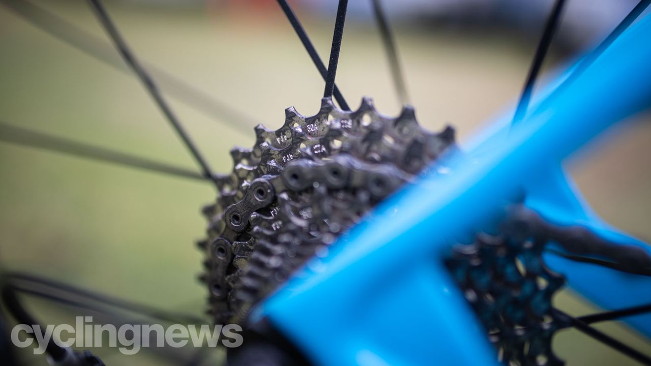 Shimano neutral support