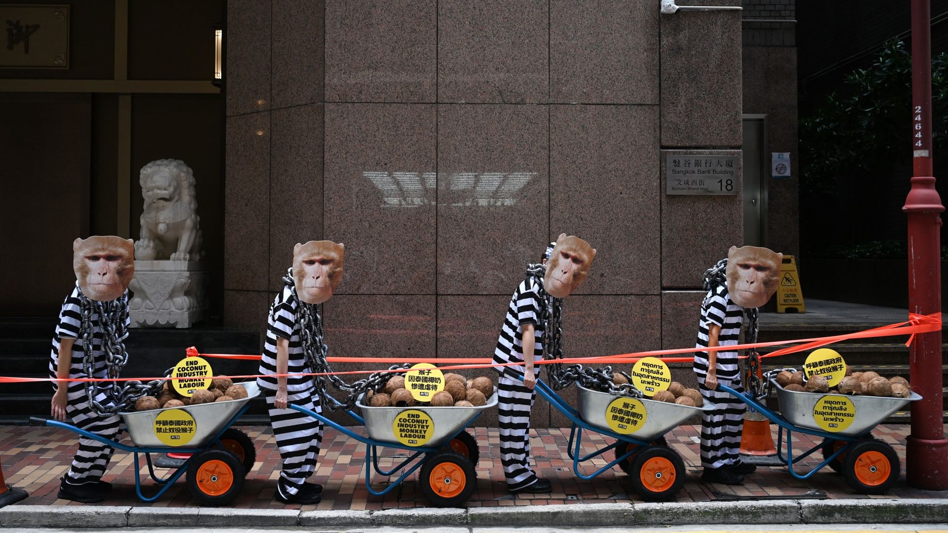 
                                PETA activists dressed as prisoners stage a protest outside the Royal Thai Consulate-General in Hong Kong
                            