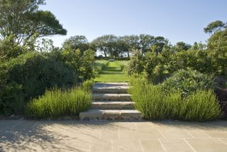 sloping garden ideas: stone steps leading up to a pathway mowed through a wild lawn
