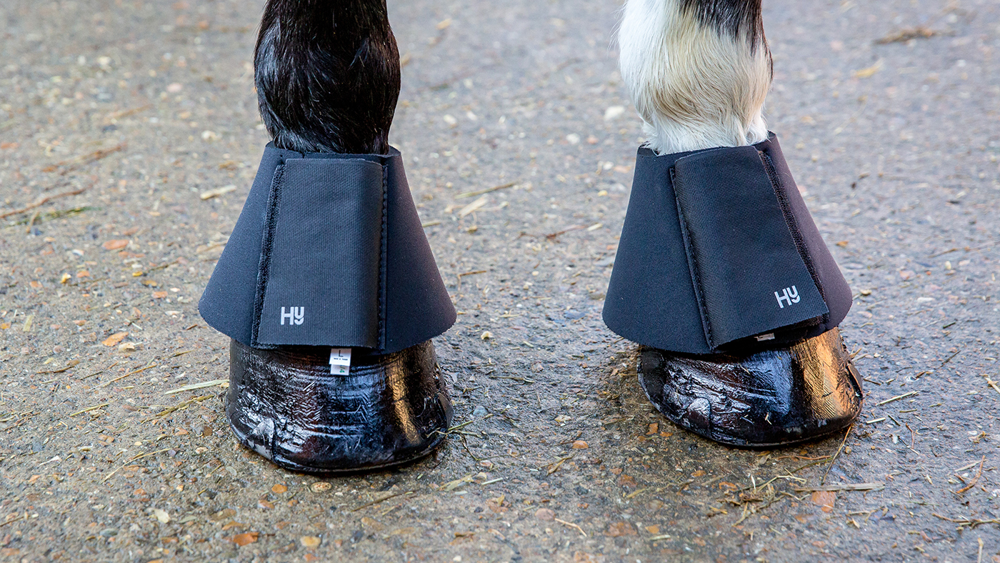 overreach boots types of horse boots