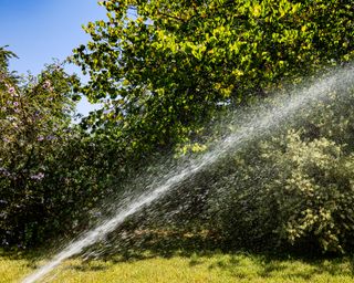 sprinkler watering a lawn in summer