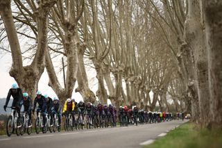 The pack of riders cycles on a road next to rows of trees during the 6th stage of the Paris-Nice cycling race, 209,8 km between Saint-Julien-en-Saint-Alban and Berre lâ€™Ã‰tang, on March 14, 2025. (Photo by Anne-Christine POUJOULAT / AFP)