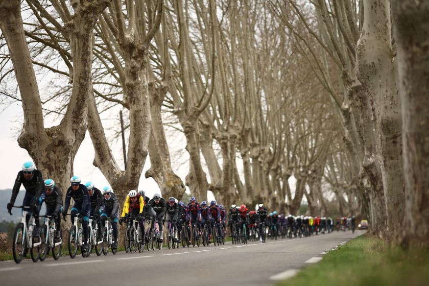 The pack of riders cycles on a road next to rows of trees during the 6th stage of the Paris-Nice cycling race, 209,8 km between Saint-Julien-en-Saint-Alban and Berre lâ€™Ã‰tang, on March 14, 2025. (Photo by Anne-Christine POUJOULAT / AFP)