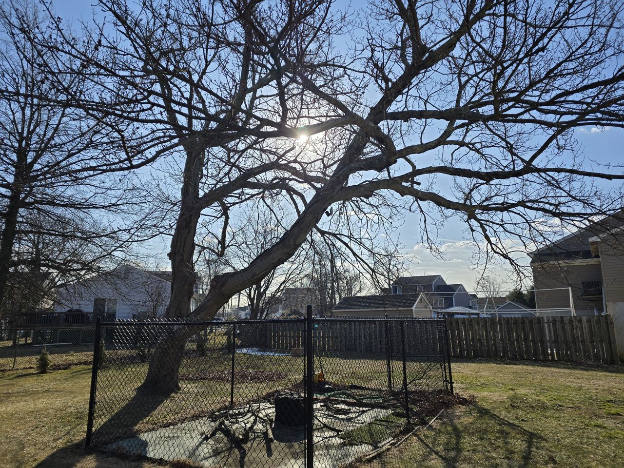 Samsung Galaxy S24 Ultra dynamic range sample.