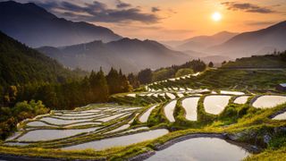 Maruyama Senmaida rice terraces in Japan